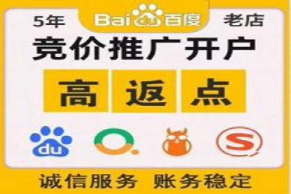 不同平台下的关键词竞价排名策略比较与案例分析